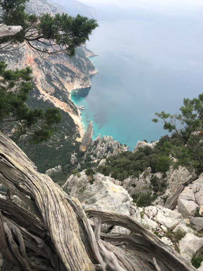Cala Gonone, Casa I Pini Apartamento Exterior foto